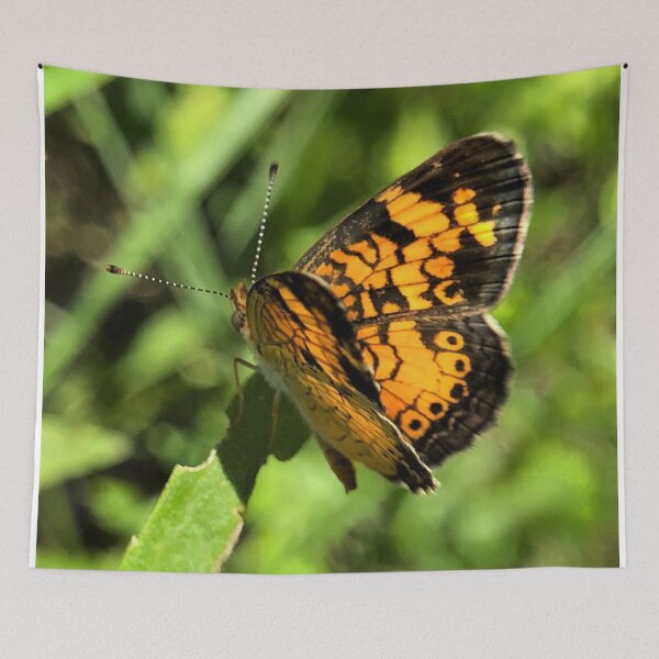 Item preview, Pearl Crescent Butterfly side view designed and sold by JanineEK.