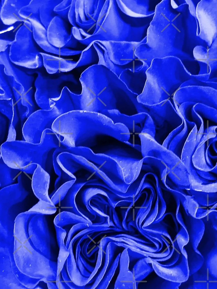 Thumbnail 4 of 4, iPhone Case, Blue Roses designed and sold by Raymond Gilford.
