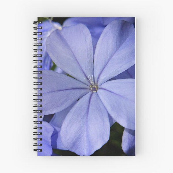 Item preview, Plumbago close up designed and sold by JanineEK.