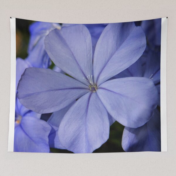 Item preview, Plumbago close up designed and sold by JanineEK.