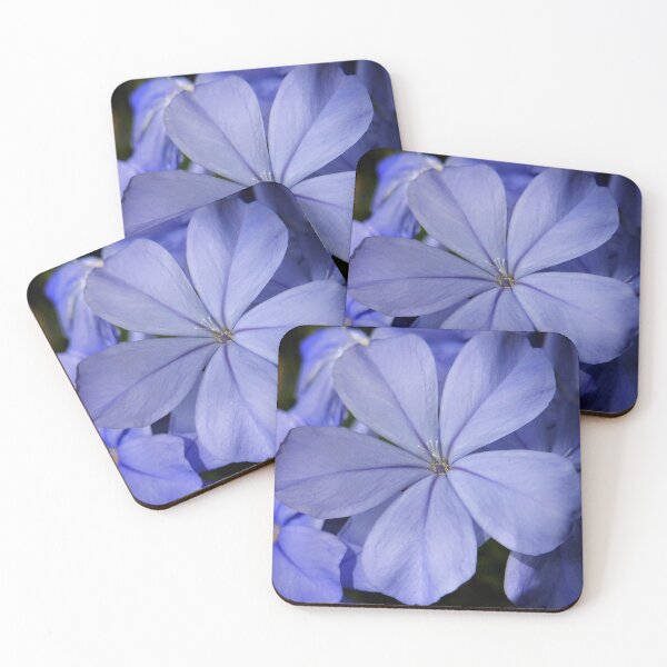 Item preview, Plumbago close up designed and sold by JanineEK.