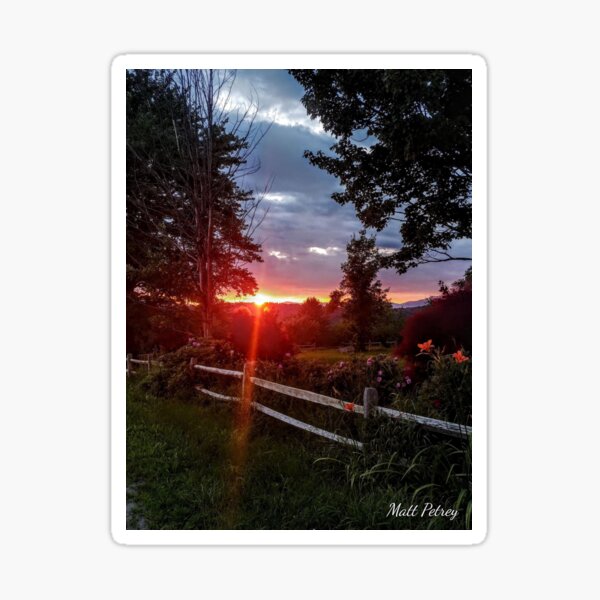 Summer sunset with fence and flowers Sticker