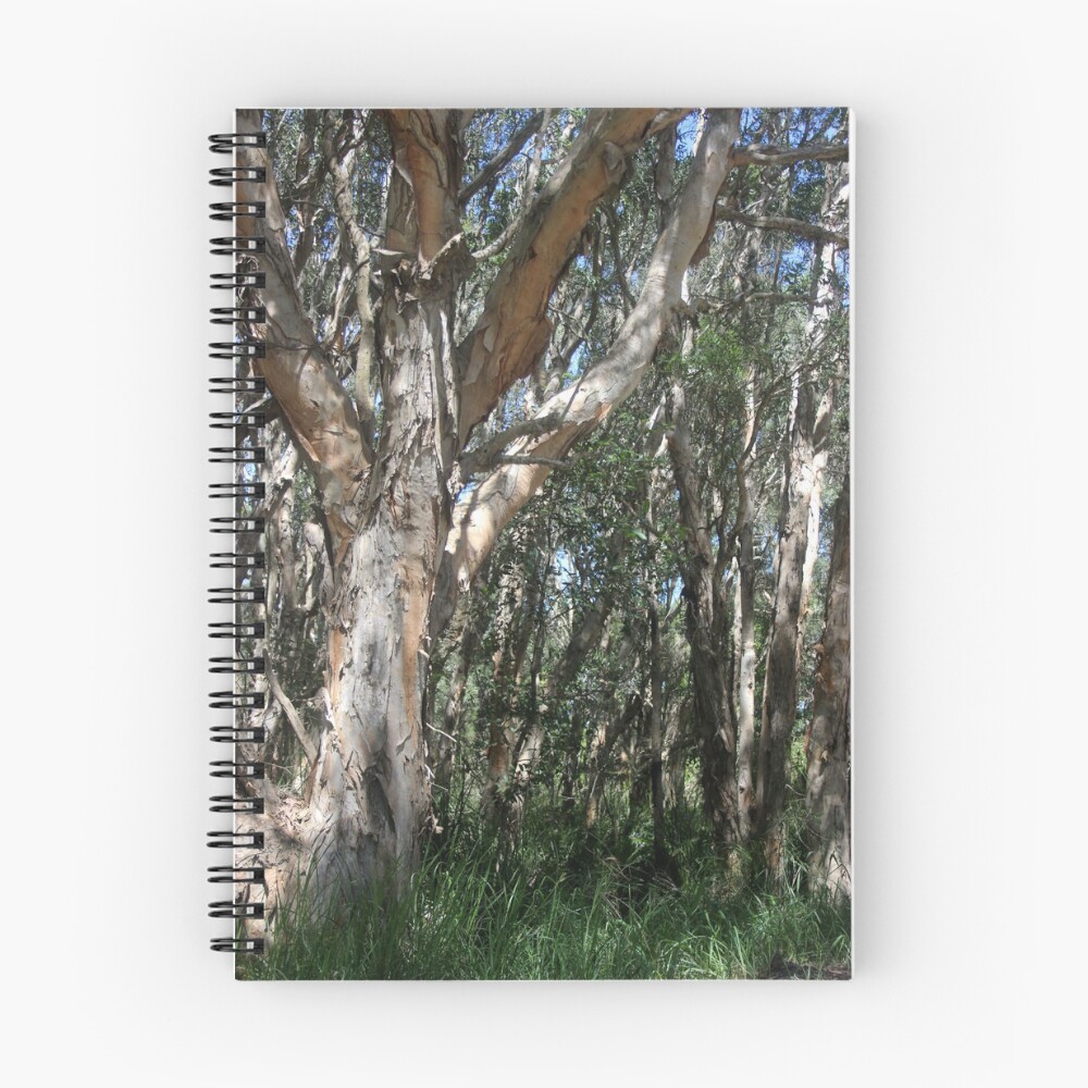 Item preview, Spiral Notebook designed and sold by JLB2209.