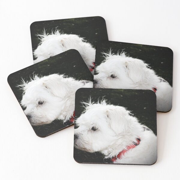 Item preview, Sophie designed and sold by Jodie Cooper.