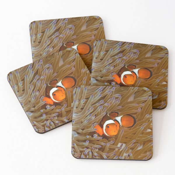 Item preview, Eastern Clownfish in Anemone designed and sold by KarenWillshaw.