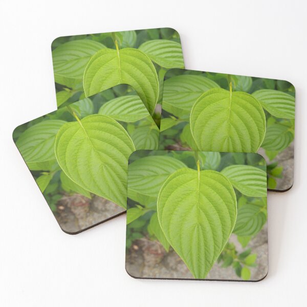 Item preview, Leafy green designed and sold by BePositivity.