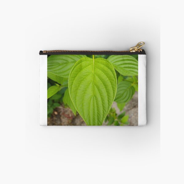 Item preview, Leafy green designed and sold by BePositivity.