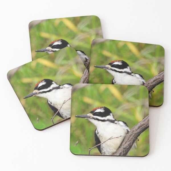 Item preview, Juvenile Hairy Woodpecker designed and sold by Alyce Taylor.
