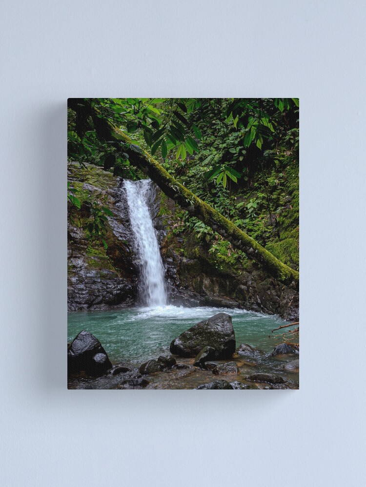 Thumbnail 1 of 3, Canvas Print, Uvita Waterfall designed and sold by darren-j-mcleod.