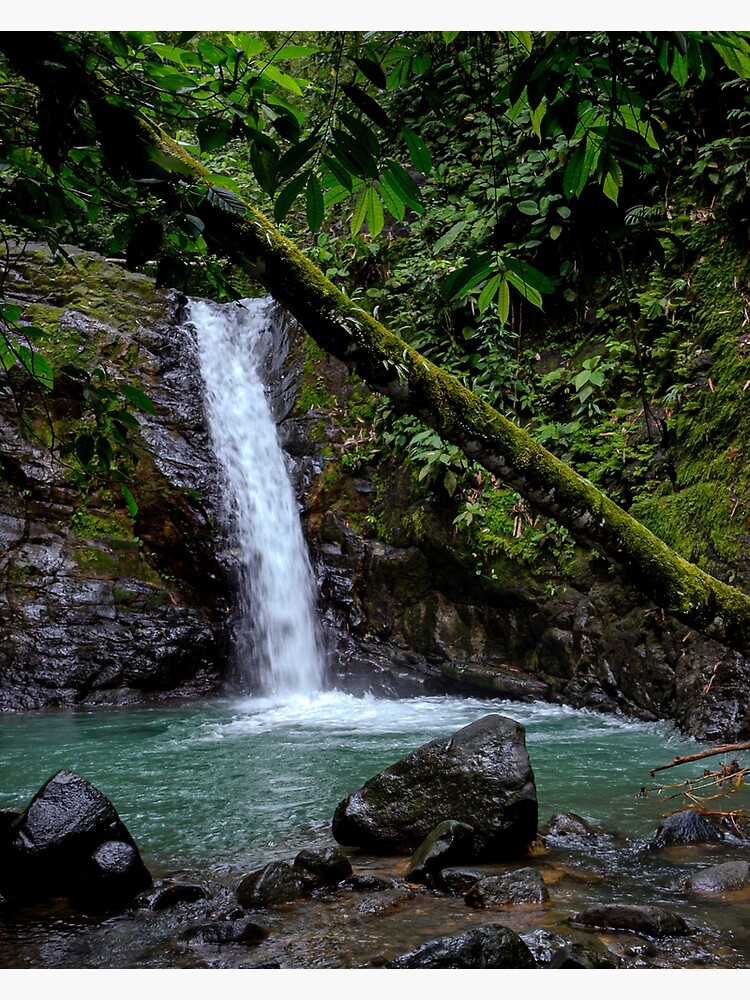 Thumbnail 3 of 3, Canvas Print, Uvita Waterfall designed and sold by darren-j-mcleod.