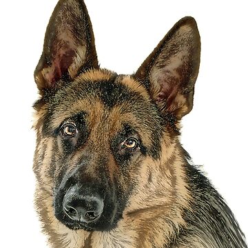 Artwork thumbnail, GSD bywhacky by designbywhacky