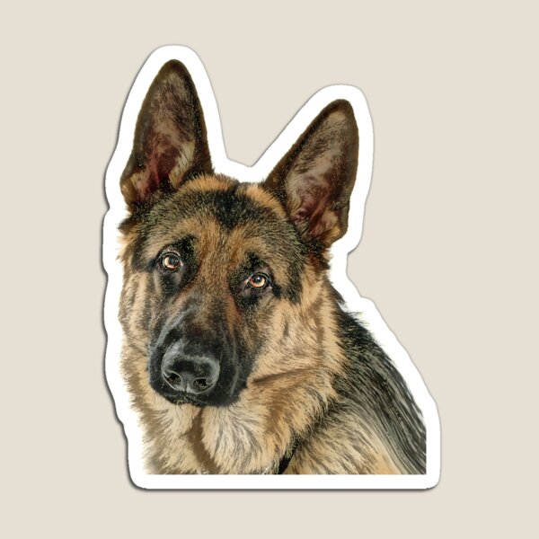 GSD bywhacky Magnet