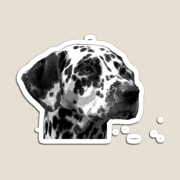 Dalmation Magnet