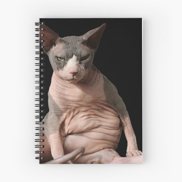 Item preview, Giant hairless cat designed and sold by nekodokai1.