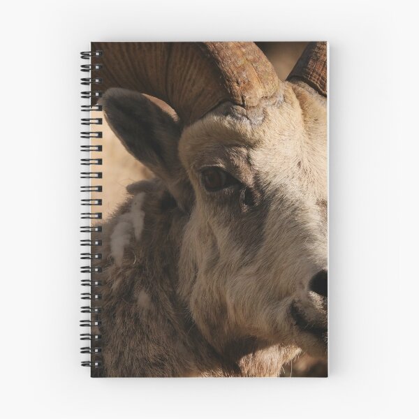 Item preview, Ram designed and sold by Alyce Taylor.