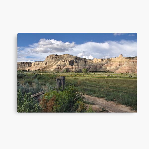 Dirt Road Wanderings l Canvas Print