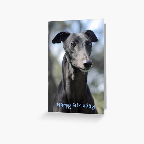 Item preview, Happy Birthday designed and sold by GreyhoundSN.