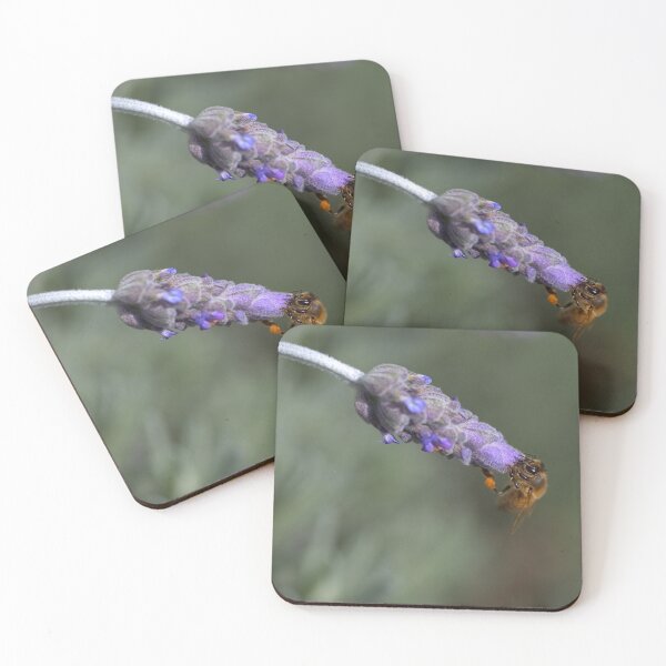 Item preview, Daily Energy For Bee's  designed and sold by Joy Watson - Natural Light Photography .