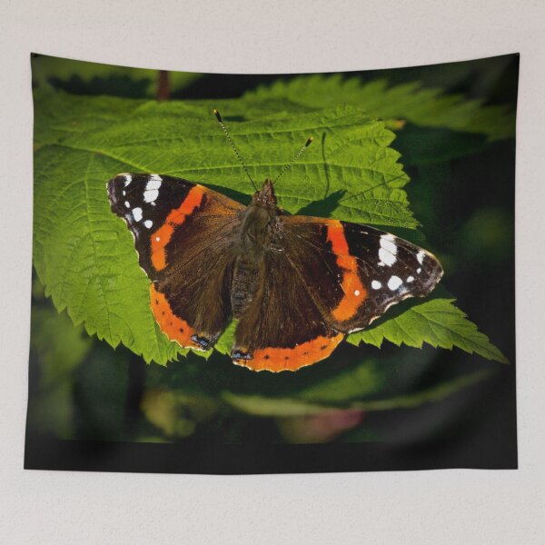 Item preview, ADMIRATI designed and sold by NICK COBURN PHILLIPS.