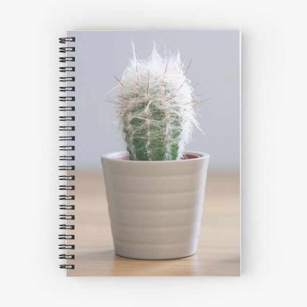 Item preview, Three Cacti designed and sold by petegrev.