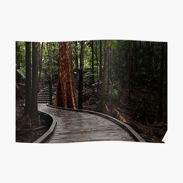 Mapleton Falls National Park Poster