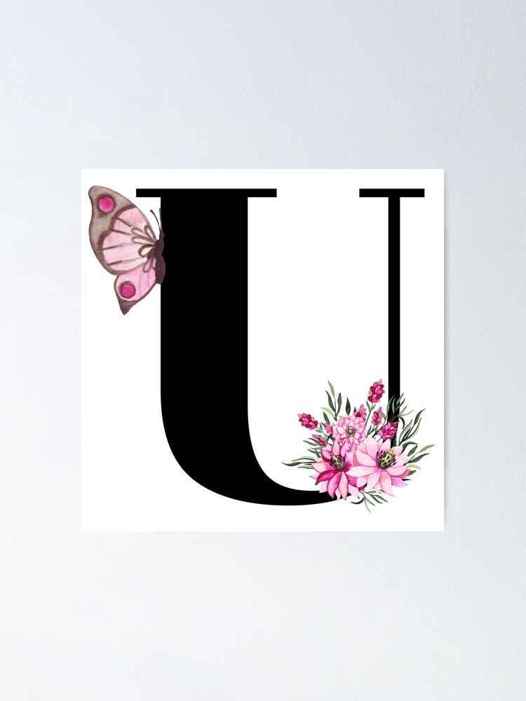 Letter U, Flower & Butterfly Alphabet, Cliparts, white background - Clip  Art Library