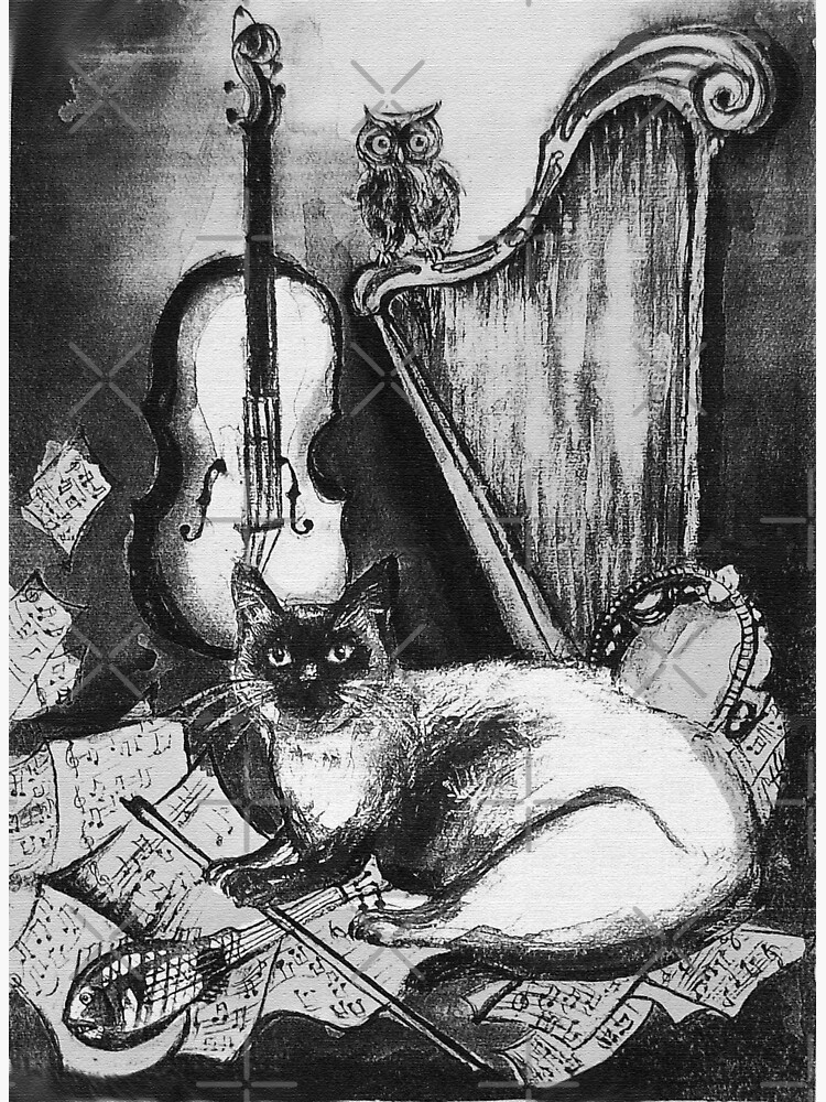MUSICAL CAT AND OWL WITH MUSIC INSTRUMENTS Black and White by BulganLumini