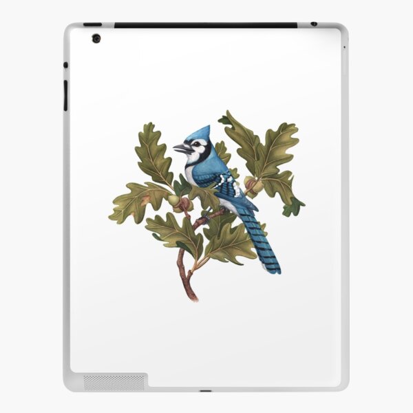 Blue Jay Sketch | iPad Case & Skin