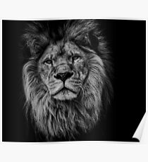 Póster León negro / blanco
