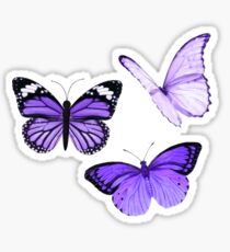 Purple Butterflies Sticker