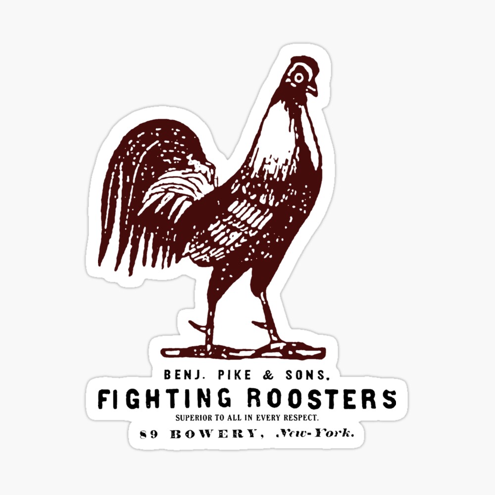 FIGHTING ROOSTER – THE FIGHTING ROOSTER