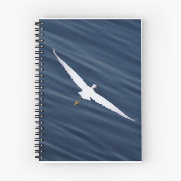 Item preview, Gliding Across designed and sold by Matteo Genota.
