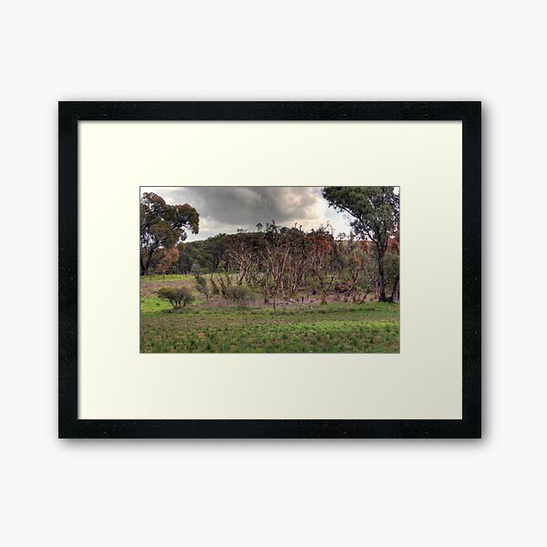 Salty plains Framed Art Print