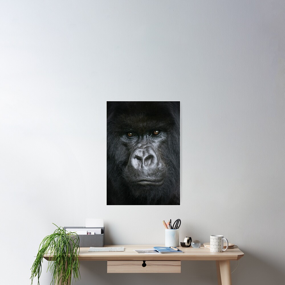 The Stare Poster