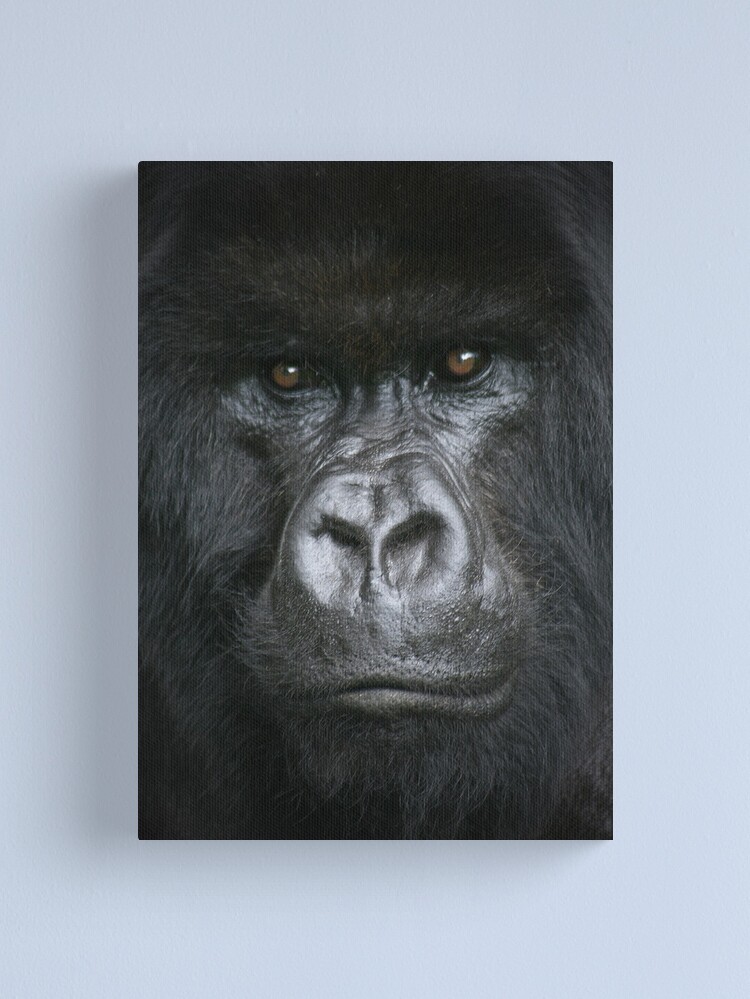 Alternate view of The Stare Canvas Print
