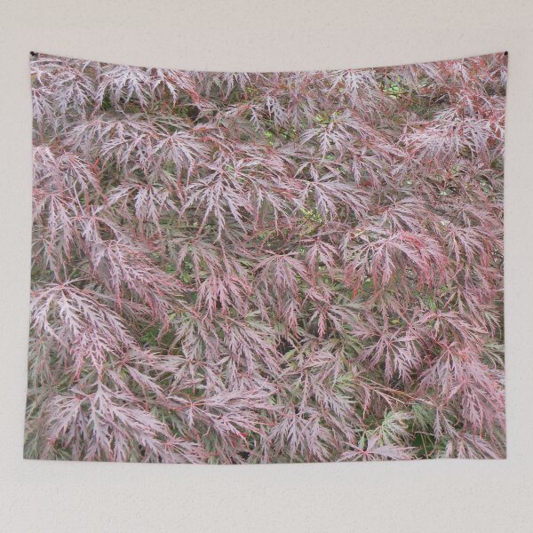 Item preview, Botanic_Image_003 (Acer) designed and sold by DRS-Edinburgh.