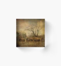 drapé dans les ors de l'automne... Acrylic Block