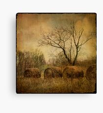 drapé dans les ors de l'automne... Canvas Print