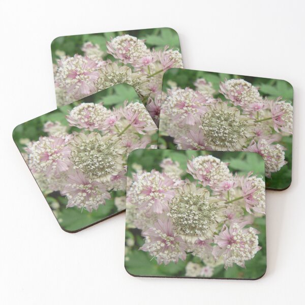 Item preview, Botanic_Image_005 designed and sold by DRS-Edinburgh.