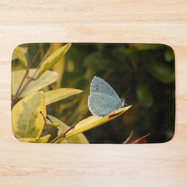 Item preview, Adonis Blue designed and sold by Fay Freshwater.