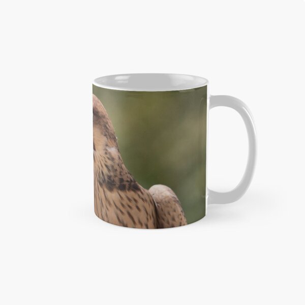 Item preview, Falco peregrinus pelegrinoides designed and sold by Mythos57.