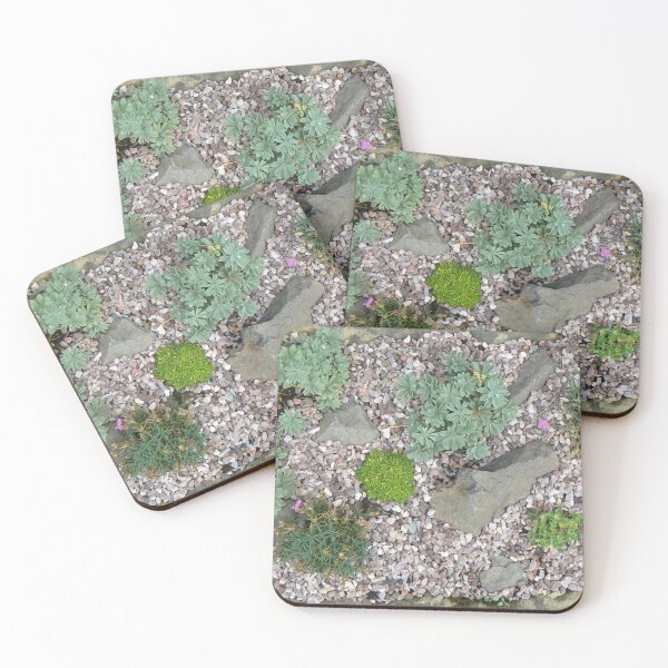 Item preview, Botanic_Image_008 (Rock Garden) designed and sold by DRS-Edinburgh.