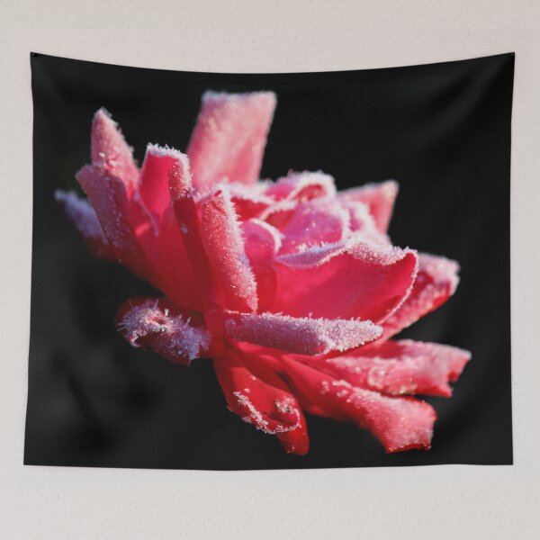 Item preview, Frosted Rose Blooming designed and sold by Olivia Ossege.