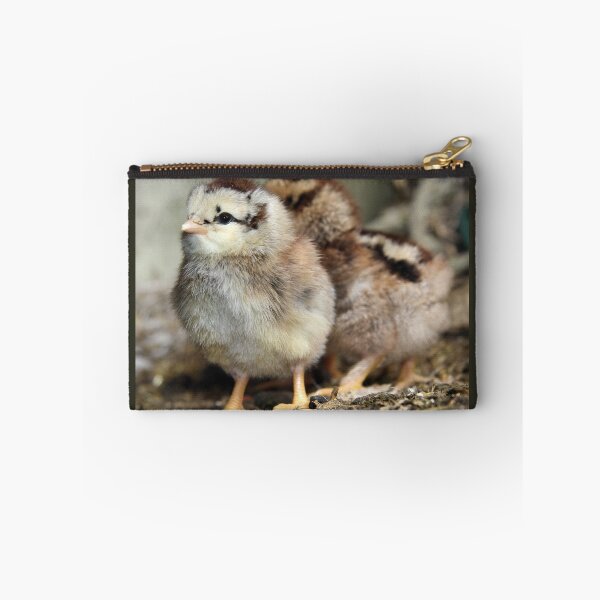 Item preview, Two chicks just hatched designed and sold by WesternExposure.