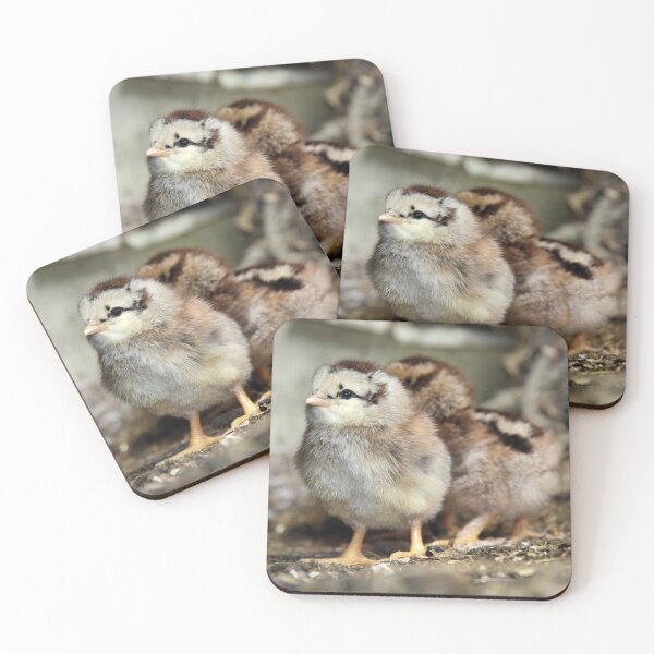 Item preview, Two chicks just hatched designed and sold by WesternExposure.
