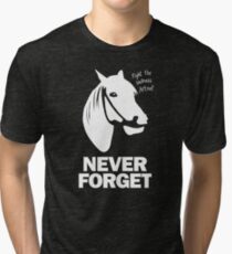 NEVER FORGET - Artax and the Swamps of Sadness Tri-blend T-Shirt