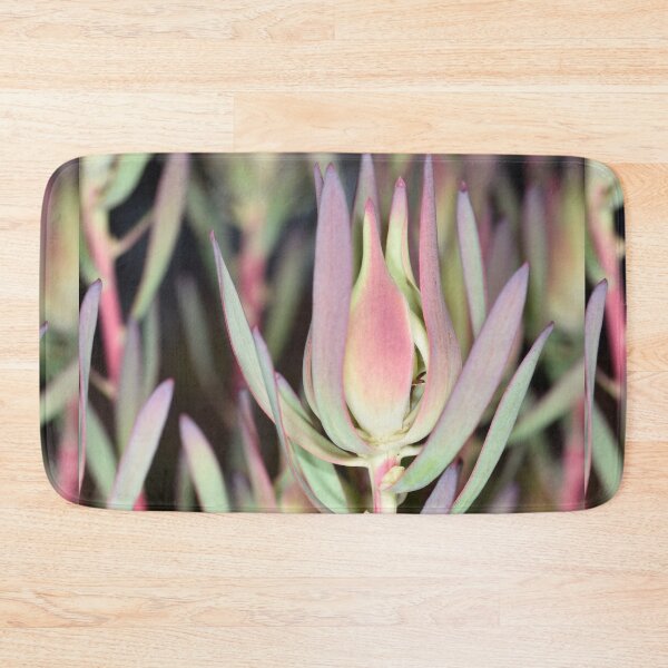 Item preview, Botanic Beauty - Leucadendron salignum designed and sold by imaginethis.