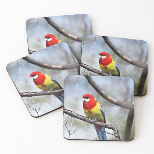 Item preview, Pretty Rosella designed and sold by imaginethis.