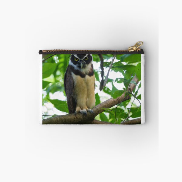 Item preview, Glaring Spectacled Owl designed and sold by Faraaz Abdool.