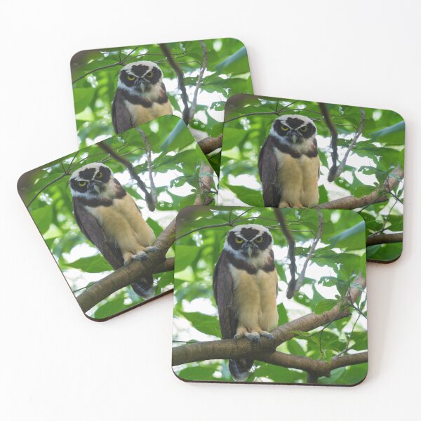 Item preview, Glaring Spectacled Owl designed and sold by Faraaz Abdool.